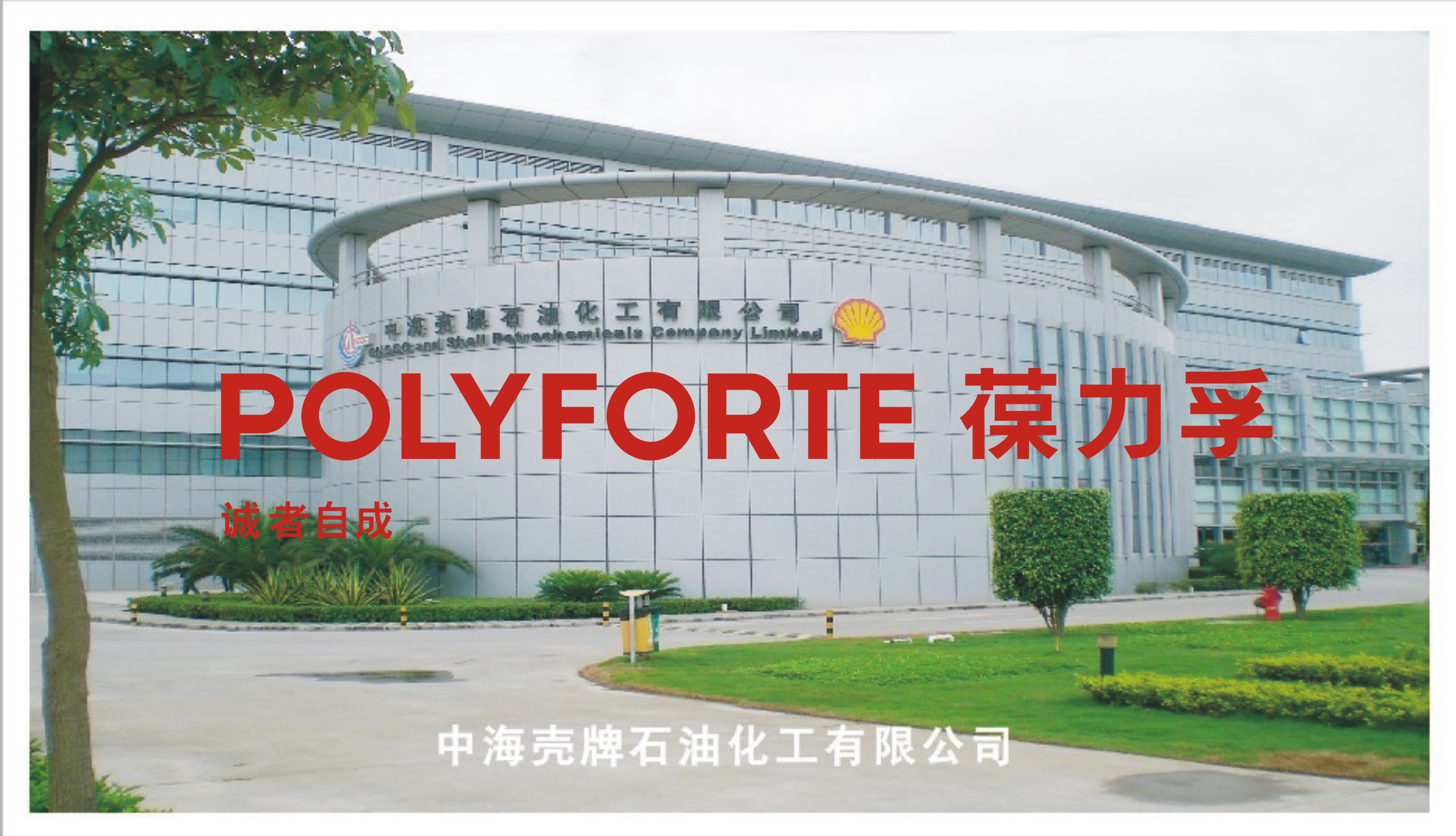 中海殼牌石油有限公司
